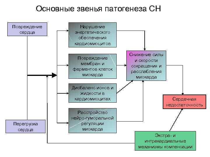 Основные звенья патогенеза СН Повреждение сердца Нарушение энергетического обеспечения кардиомиоцитов Повреждение мембран и ферментов