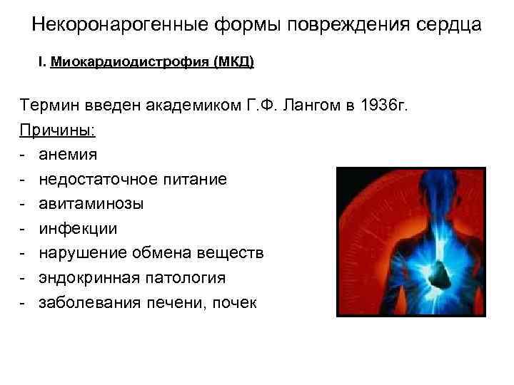 Некоронарогенные формы повреждения сердца I. Миокардиодистрофия (МКД) Термин введен академиком Г. Ф. Лангом в