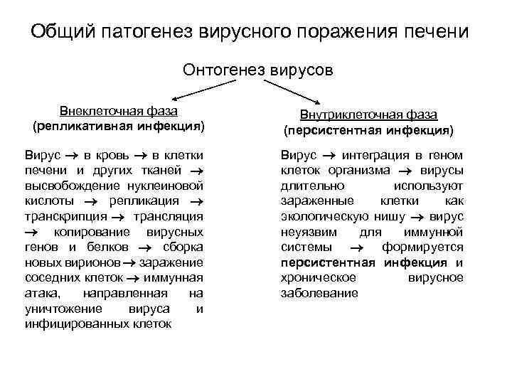 Общий патогенез вирусного поражения печени Онтогенез вирусов Внеклеточная фаза (репликативная инфекция) Вирус в кровь