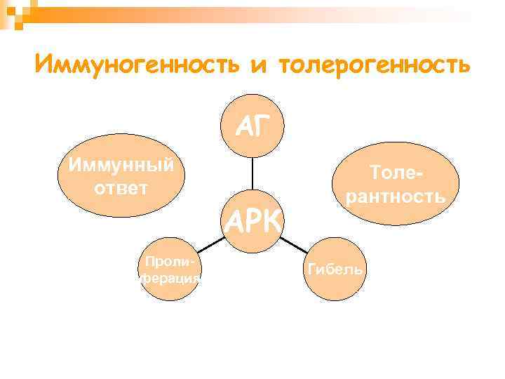 Иммуногенность и толерогенность АГ Иммунный ответ Пролиферация АРК Толерантность Гибель 