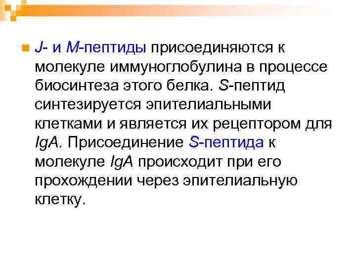 n J- и M-пептиды присоединяются к молекуле иммуноглобулина в процессе биосинтеза этого белка. S-пептид