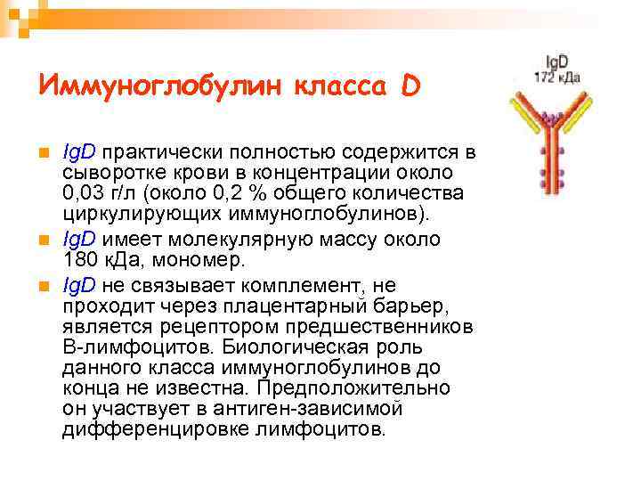 Иммуноглобулин класса D n n n Ig. D практически полностью содержится в сыворотке крови