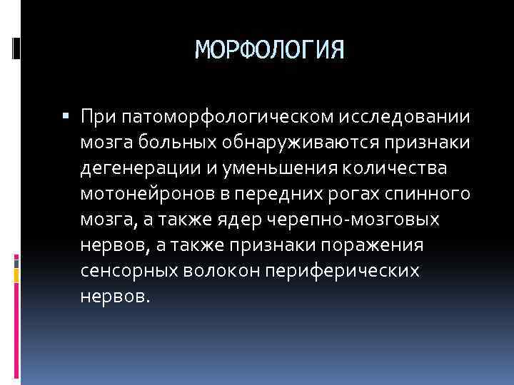 МОРФОЛОГИЯ При патоморфологическом исследовании мозга больных обнаруживаются признаки дегенерации и уменьшения количества мотонейронов в