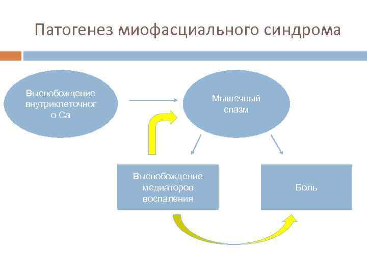 Патогенез миофасциального синдрома Высвобождение внутриклеточног о Са Мышечный спазм Высвобождение медиаторов воспаления Боль 