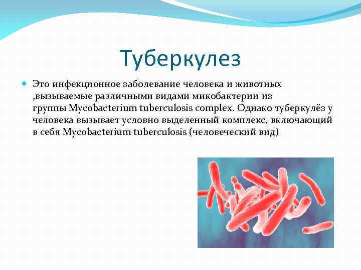 Туберкулез Это инфекционное заболевание человека и животных , вызываемые различными видами микобактерии из группы