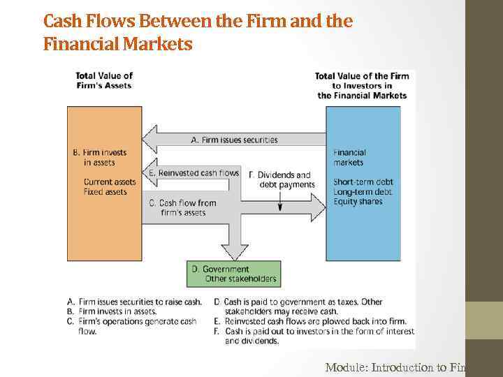 Cash Flows Between the Firm and the Financial Markets Module: Introduction to Finance 