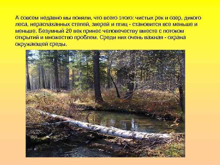 А совсем недавно мы поняли, что всего этого: чистых рек и озер, дикого леса,