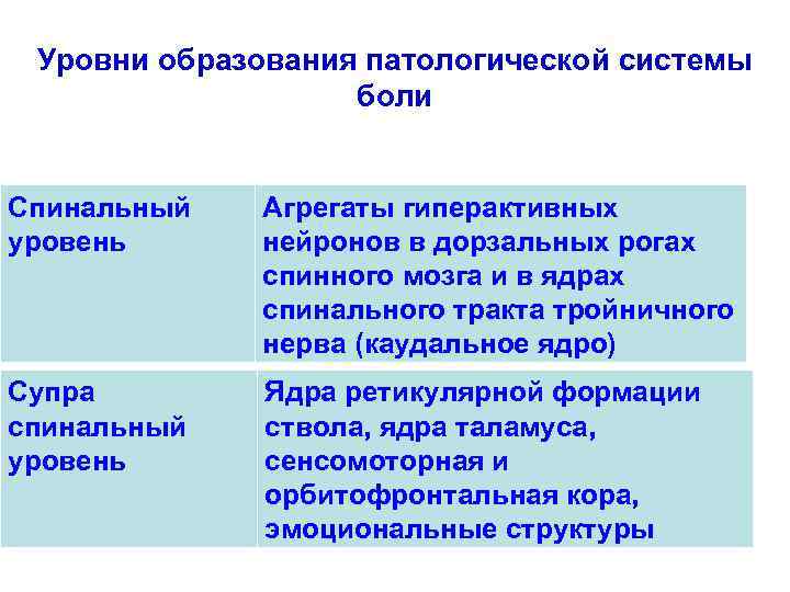 Уровни образования патологической системы боли Спинальный уровень Агрегаты гиперактивных нейронов в дорзальных рогах спинного