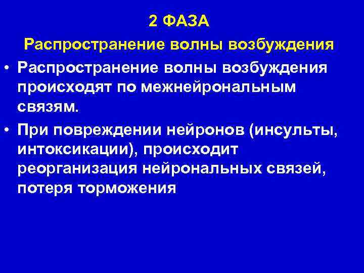 2 ФАЗА Распространение волны возбуждения • Распространение волны возбуждения происходят по межнейрональным связям. •