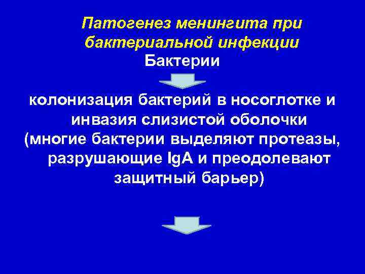 Патогенез менингита при бактериальной инфекции Бактерии колонизация бактерий в носоглотке и инвазия слизистой оболочки