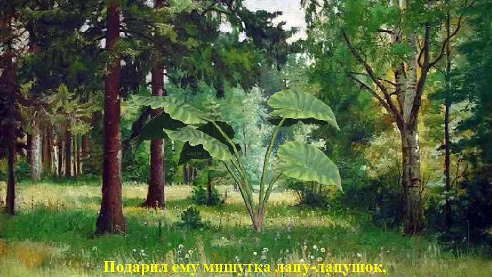 Подарил ему мишутка лапу-лапушок, 