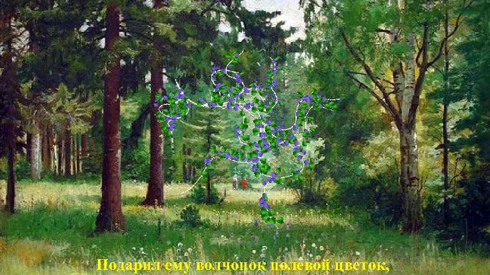 Подарил ему волчонок полевой цветок, 