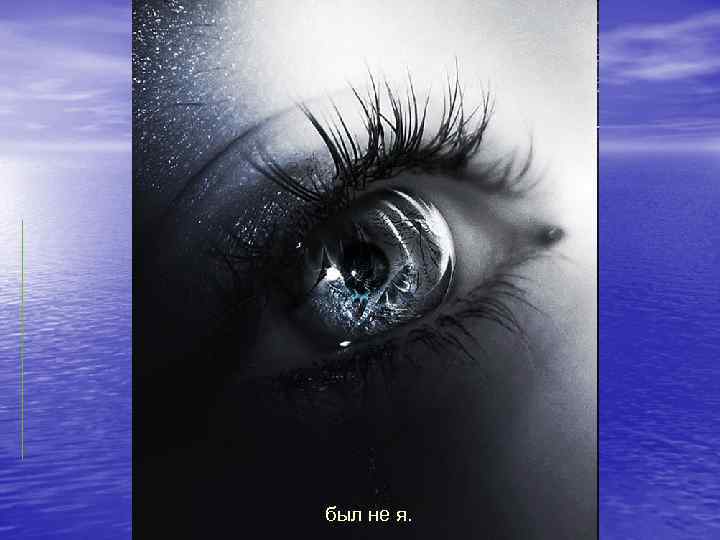 был не я. 