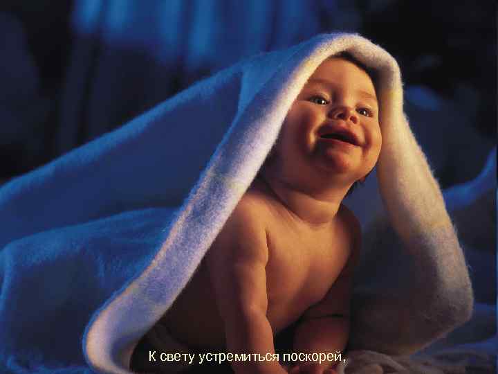 К свету устремиться поскорей, 