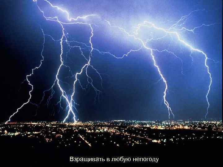 Взращивать в любую непогоду 