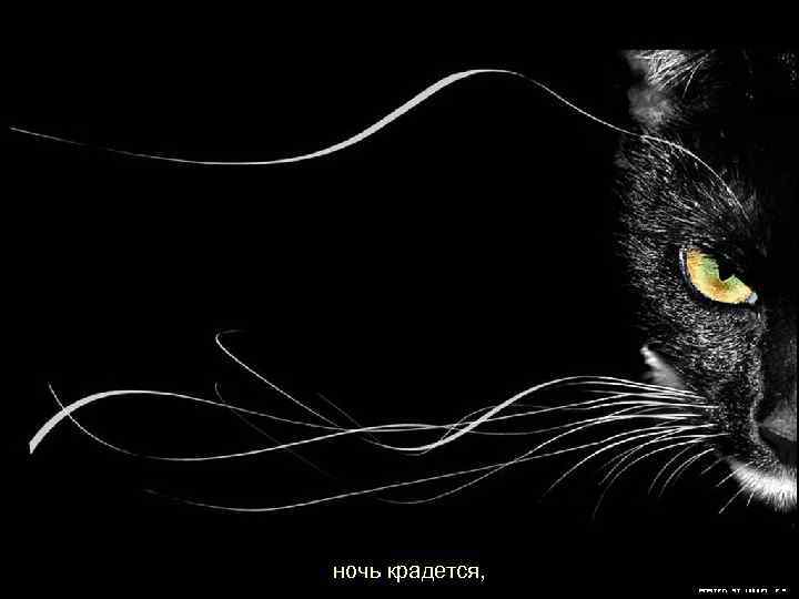 ночь крадется, 
