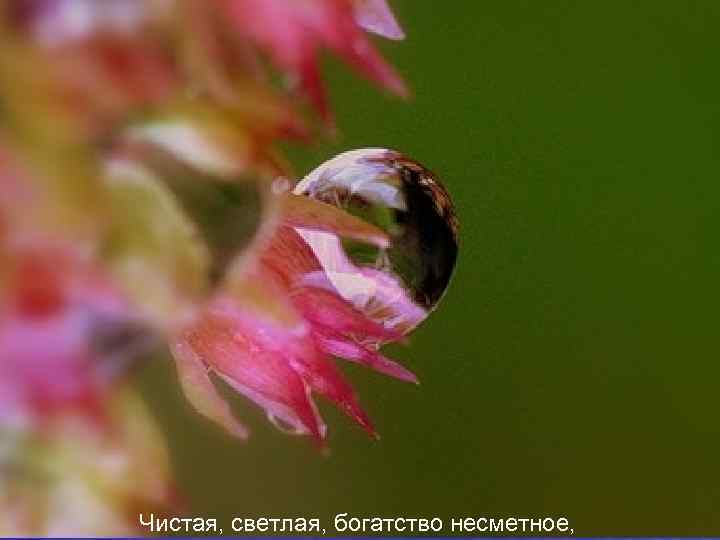 Чистая, светлая, богатство несметное, 