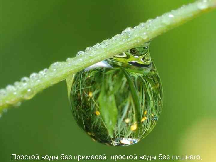 Простой воды без примесей, простой воды без лишнего, 