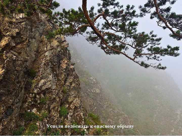 Успели подбежать к опасному обрыву 