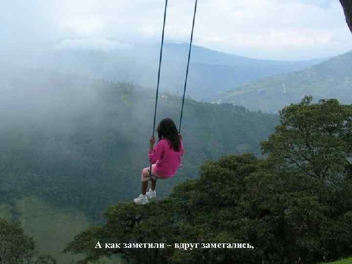 А как заметили – вдруг заметались, 