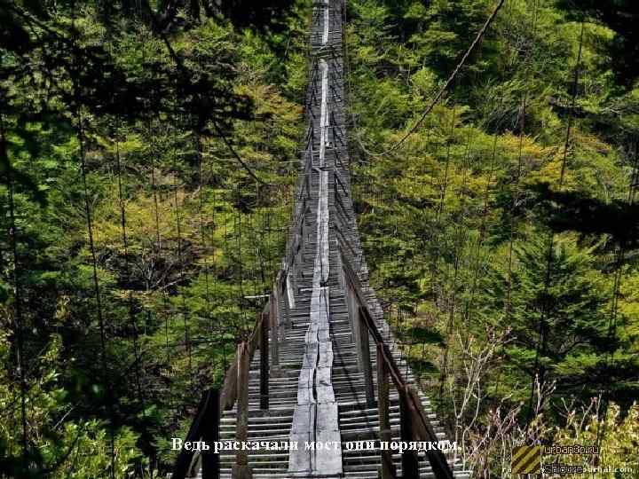 Ведь раскачали мост они порядком, 