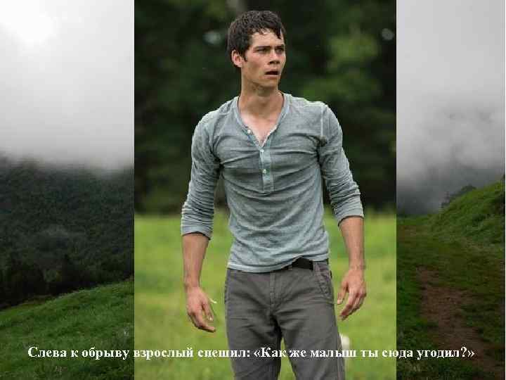 Слева к обрыву взрослый спешил: «Как же малыш ты сюда угодил? » 