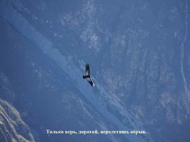 Только верь, дорогой, перелетишь обрыв. 