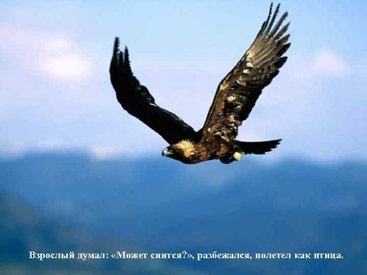 Взрослый думал: «Может снится? » , разбежался, полетел как птица. 