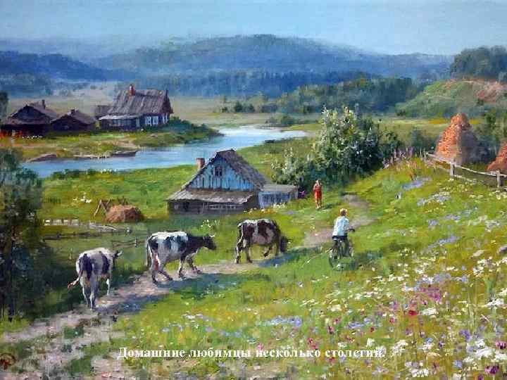 Домашние любимцы несколько столетий. 