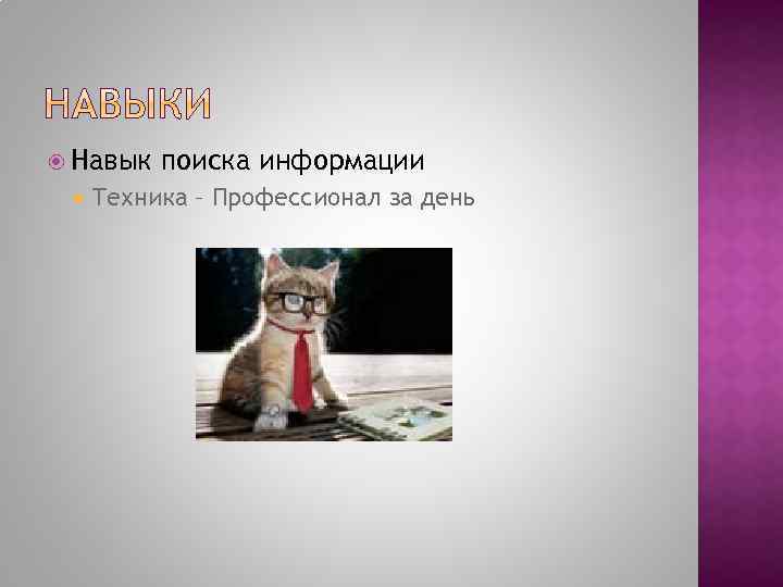  Навык поиска информации Техника – Профессионал за день 