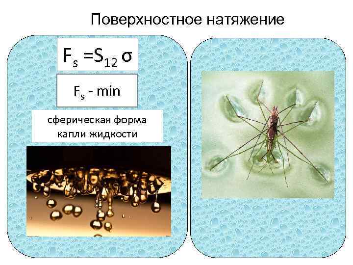 Поверхностное натяжение Fs =S 12 σ Fs - min сферическая форма капли жидкости 