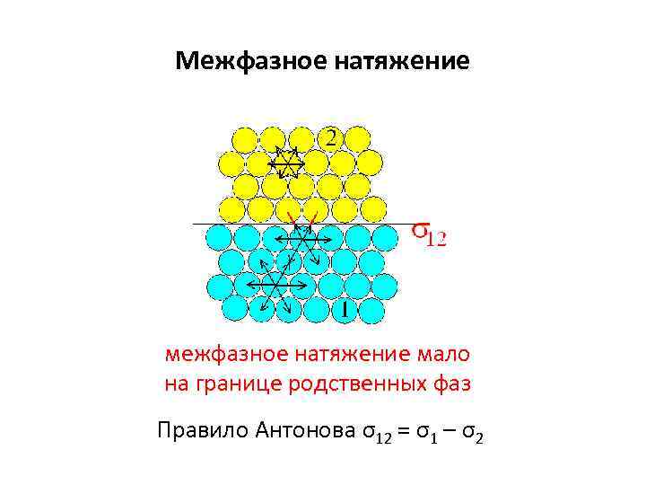 Межфазное натяжение мало на границе родственных фаз Правило Антонова σ12 = σ1 – σ2