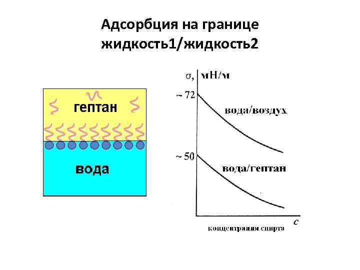 Адсорбция на границе жидкость1/жидкость2 