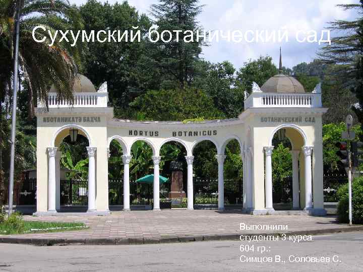 Сухумский ботанический сад Выполнили студенты 3 курса 604 гр. : Симцов В. , Соловьев