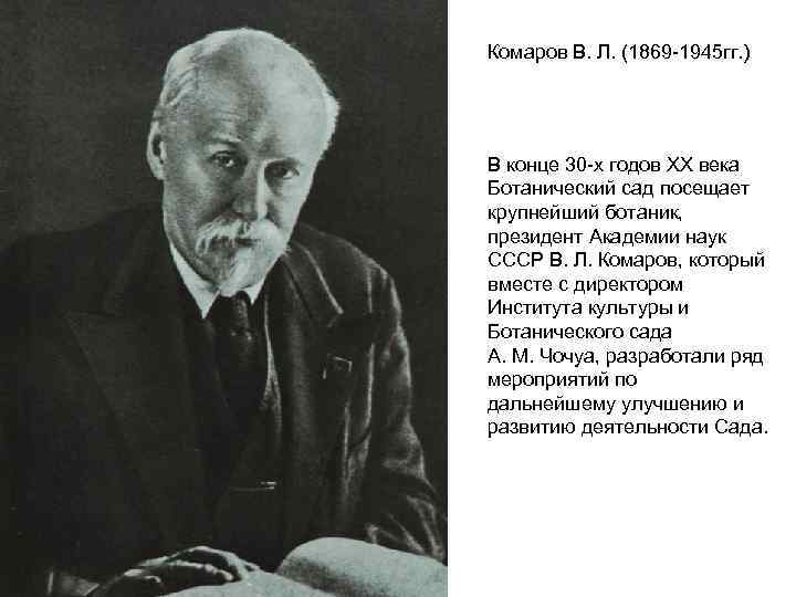 Комаров В. Л. (1869 -1945 гг. ) В конце 30 -х годов XX века