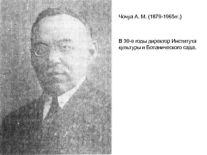 Чочуа А. М. (1879 -1965 гг. ) В 30 -е годы директор Института культуры