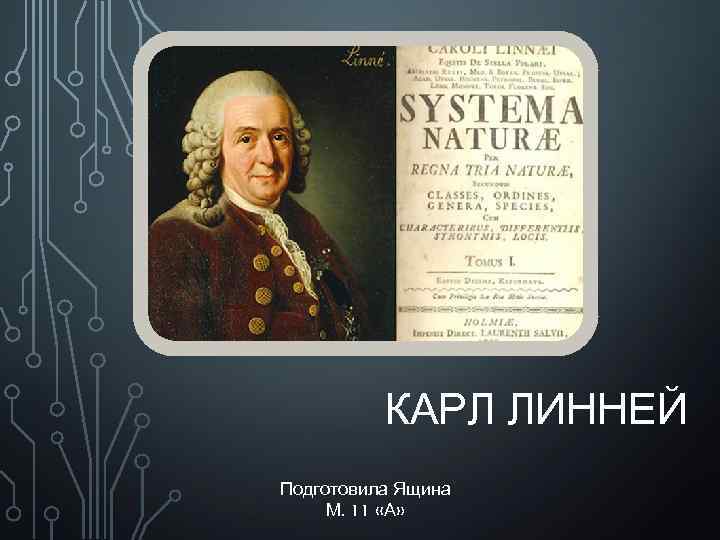 КАРЛ ЛИННЕЙ Подготовила Ящина М. 11 «А» 