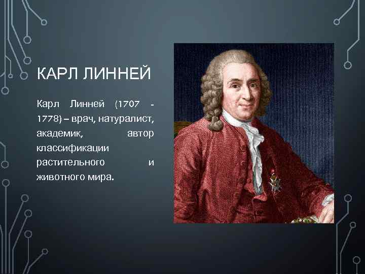 КАРЛ ЛИННЕЙ Карл Линней (1707 1778) – врач, натуралист, академик, автор классификации растительного и