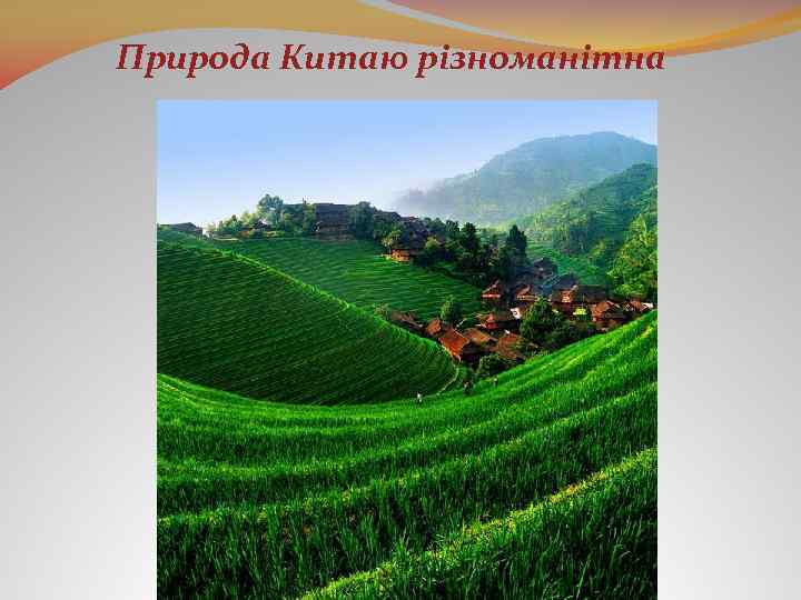 Природа Китаю різноманітна 