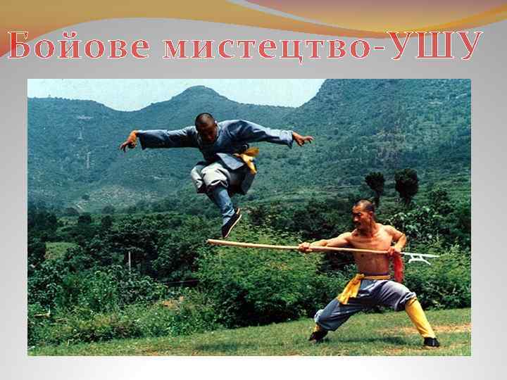 Бойове мистецтво-УШУ 