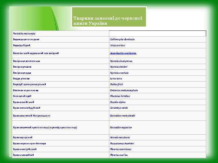 Тварини занесені до червоної книги України Pericallia matronula Ведмедиця-господиня Callimorpha dominula Ведмідь бурий Ursus