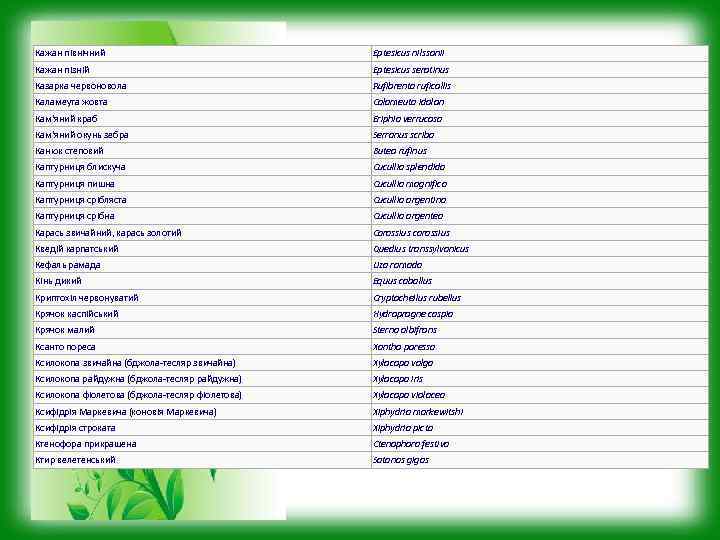 Кажан північний Eptesicus nilssonii Кажан пізній Eptesicus serotinus Казарка червоновола Rufibrenta ruficollis Каламеута жовта