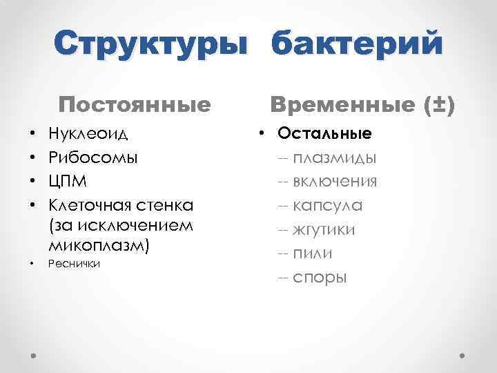 Структуры бактерий Постоянные • • Нуклеоид Рибосомы ЦПМ Клеточная стенка (за исключением микоплазм) •