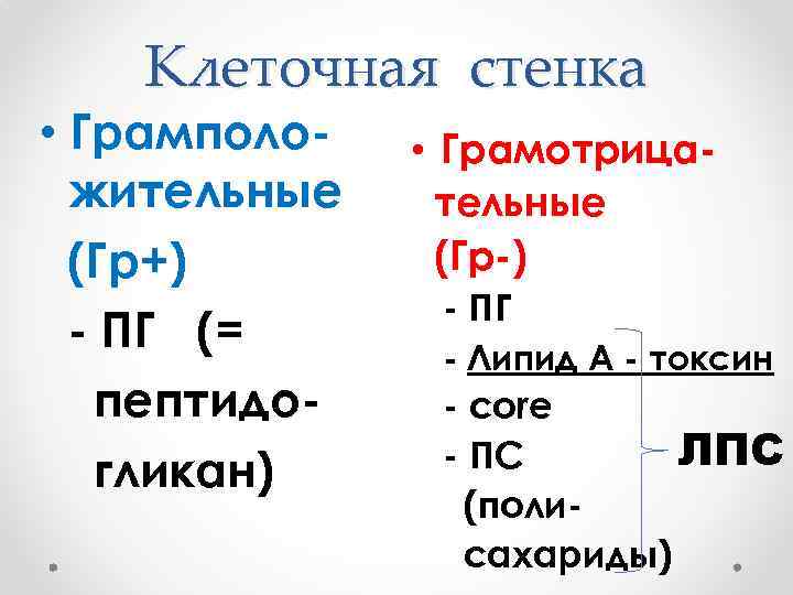 Клеточная стенка • Грамположительные (Гр+) - ПГ (= пептидогликан) • Грамотрицательные (Гр-) - ПГ