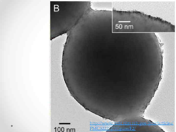 http: //www. ncbi. nlm. nih. gov/pmc/articles/ PMC 3222727/figure/F 2/ 