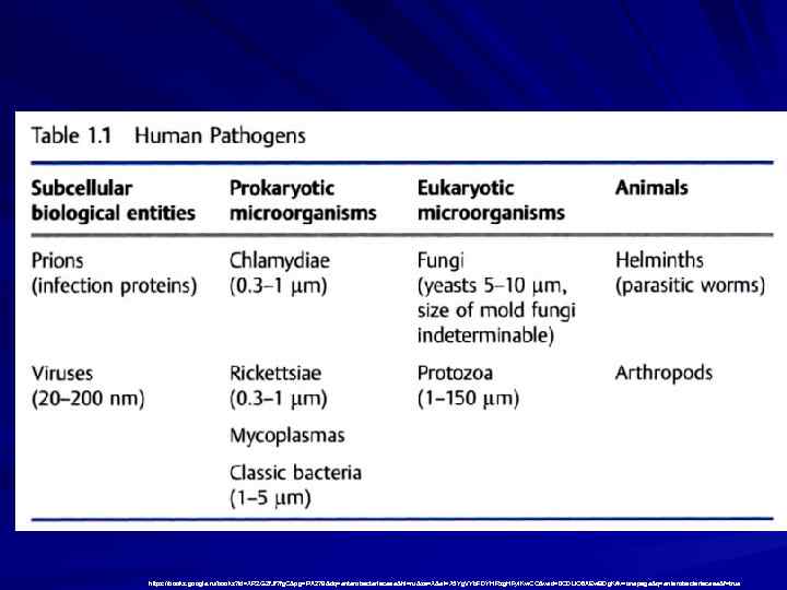 https: //books. google. ru/books? id=XRZGZf. Jf 7 fg. C&pg=PA 279&dq=enterobacteriaceae&hl=ru&sa=X&ei=X 5 Yg. VYb. FDYHRsg.