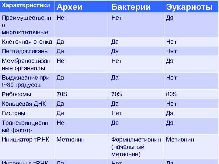 Характеристики Археи Бактерии Эукариоты Преимущественн Нет о многоклеточные Нет Да Клеточная стенка Да Да