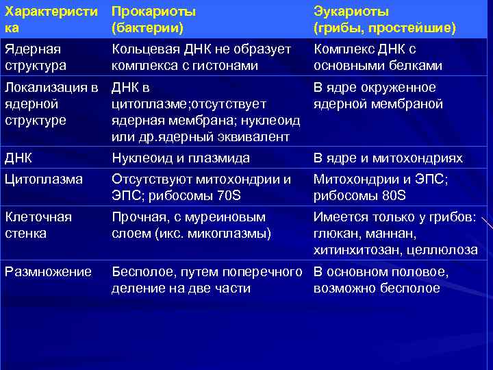 Таблица сравнение эукариот. Способы размножения эукариот. Ядерный эквивалент бактерий. Бесполое размножение прокариот и эукариот таблица. Локализация ДНК У грибов.