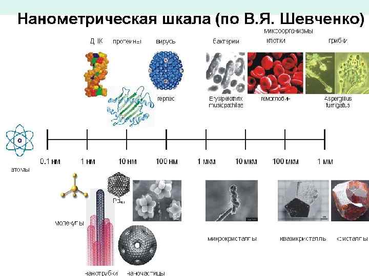 http: //www. isc. nw. ru/Rus/department/lin. htm 