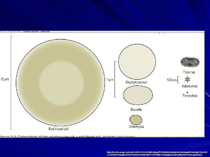 https: //books. google. ru/books? id=FUJYAQAAQBAJ&pg=PA 322&dq=clinical+microbiology&hl=ru&sa=X&ved=0 CCIQ 6 AEw. ADgeah. UKEwichvf. Qlqv. IAh. Wqs